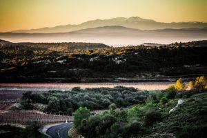 Canigou depuis le plateau d'assignat